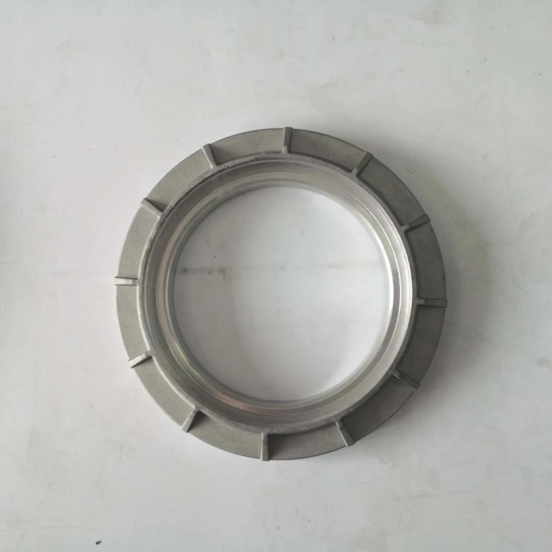 Hot Sell New Style OEM Customized Die Casting for Auto Body Parts