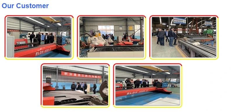 Gantry Plasma with Flame Cutting Machine Aluminum, Copper, Titanium, Nickel, Iron Stainless Steel Carbon Steel 120A 200A 300A 400A Plasma Cutting Machine