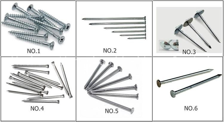 Roofing General Manufacturing for Raw Materials 2021 Best Steel Wire Nail Machine