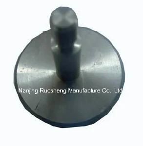 Machined Stainless Steel Plunger for Machinery Accessories