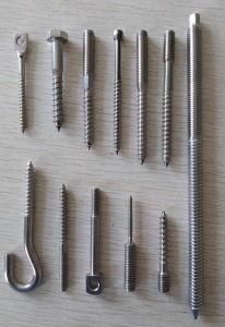 All Kinds of Stainless Steel Self Tapping Screw