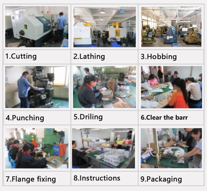 Ihf Custom Wholesales OEM Non-Standard Plastic Gear Spur Bevel Gears for Construction Machinery