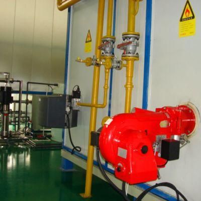 Infrared Liquid/Powder Curing Oven Gas Oven with ISO/Ce