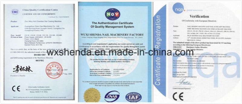 Top Quality Ce Certificate Steel Wire Drawing Machine