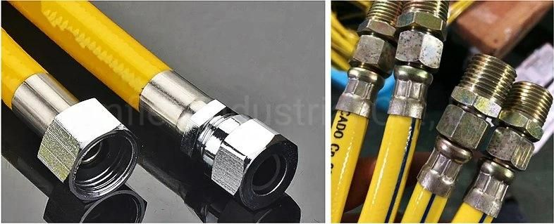 Automatic Double O Ring Assembly Machine for Gas Hose