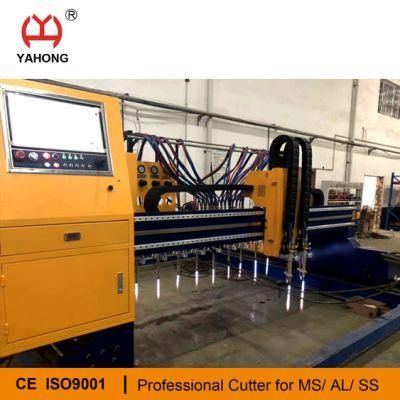 Mild Steel Plate Cutting Machine with Strip Cutting Heads