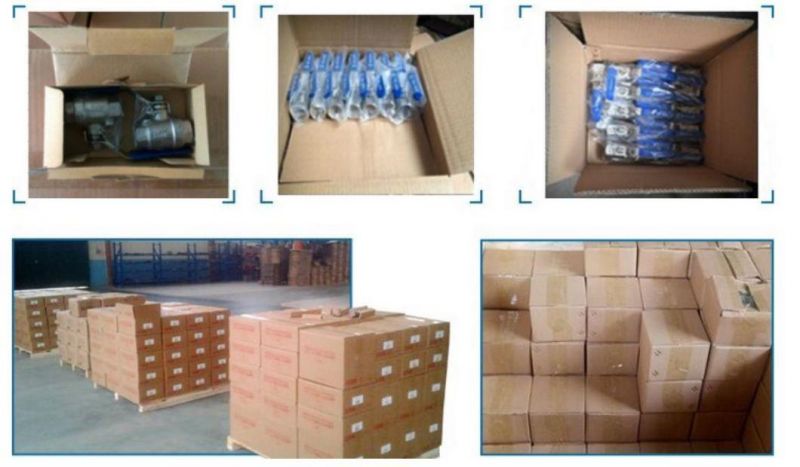 China Hot Sale Professional Manufacturer Plastic Small PVC Blue Ball Valve