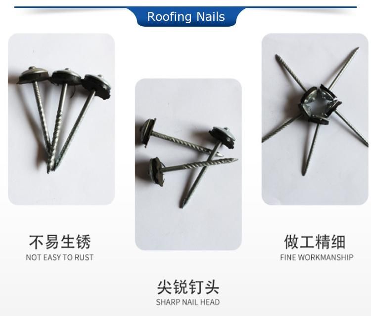 Low Cost Automatic Roofing Nail Making Machine Price in India Cheaper
