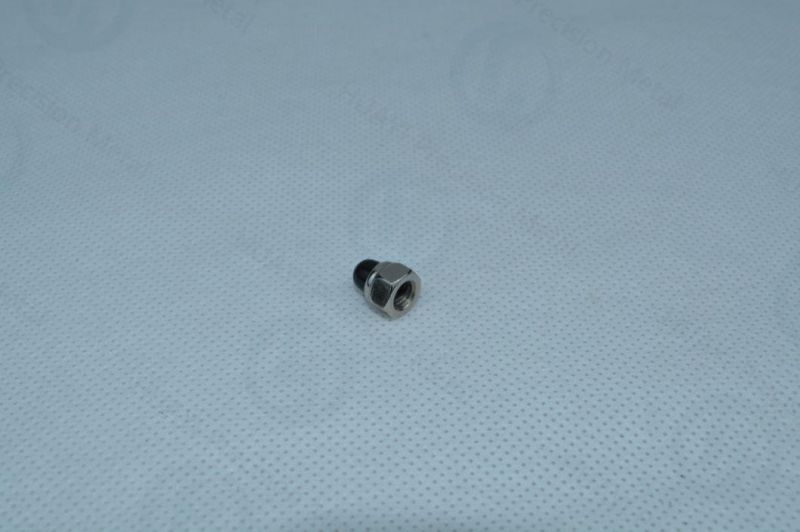 Factory Customizable All Size and High Quality Small Head Nut