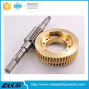 OEM Small Telescope Worm Gears