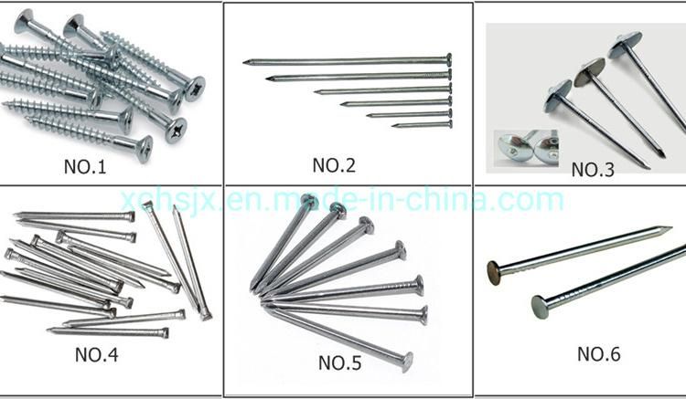 Steel Nail Machine for Making Different Size Nail and Screw