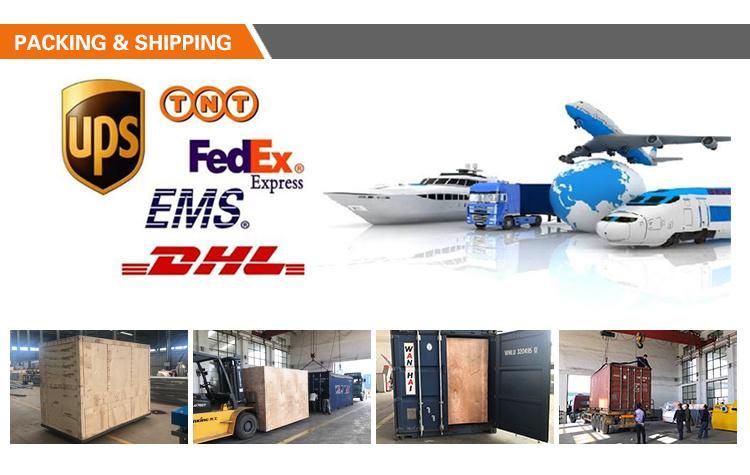 5 Axes Automatic 3D CNC Wire Bending Machine Manufacturer From China