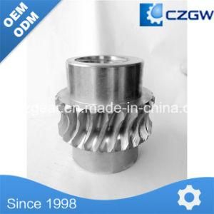 Factory Directly Sale Customizable Worm Gear