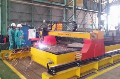 Economic CNC Gas Flame Steel Plate and Pipe Cutting Machine
