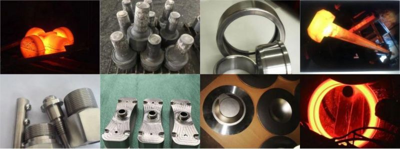 Machined/Turned/Milled/Machine/Turning/Turned/Milling/Forging/Steel/Metal/Machinery Part
