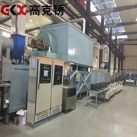 Crawler Type Gas Curing Furnace