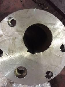 Manufacturer Supply Custom Forging Stainless Steel Flange