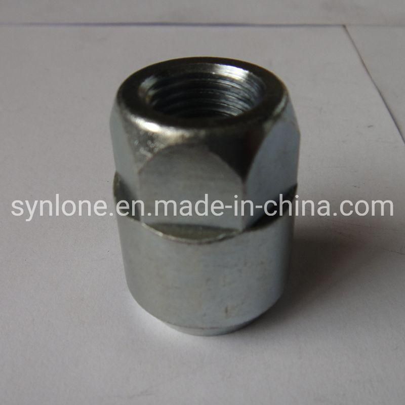 OEM Customized Steel/Iron Worm Shaft for Machinery