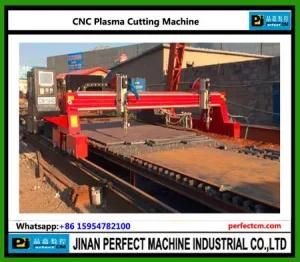 CNC Plasma Cutting Machine (China Top Supplier)