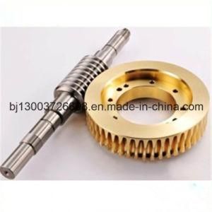CNC Machining Stainless Steel Worm Shaft, Brass Worm Gear