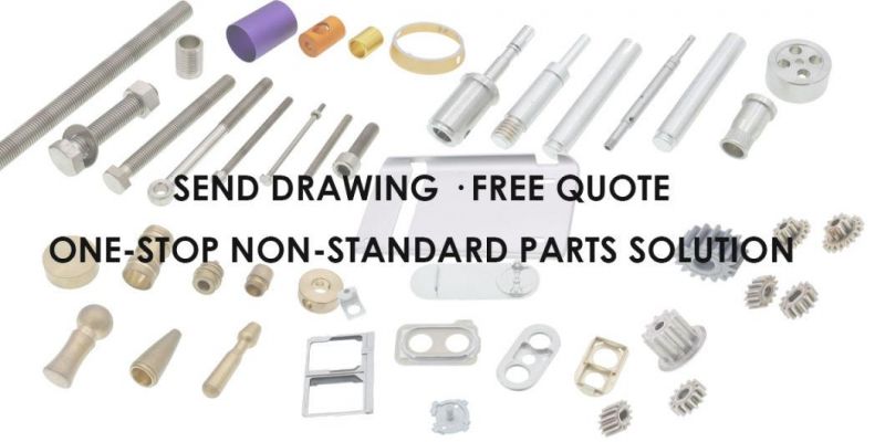 Metals CNC Precision Parts and Assemblies Worm Gears Parts