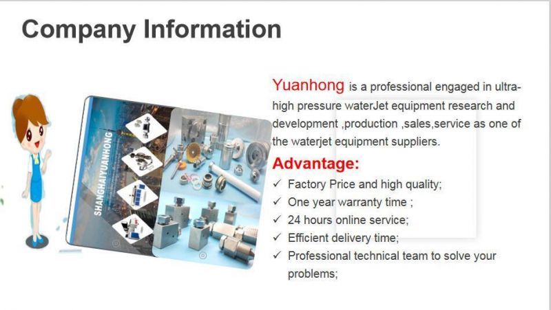 Waterjet Cutting Head Spare Part on/off Valve Repair Kit; 60K