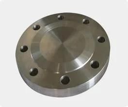 Joint Pipe Forging Flange for Mining Machine