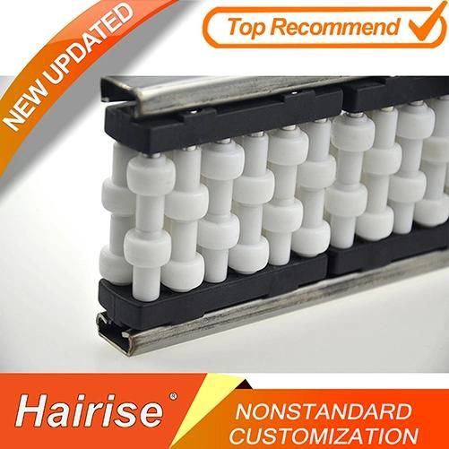 Hairise Straight Roller Guide for Bottle Industry Wtih ISO& CE &FDA Certificate