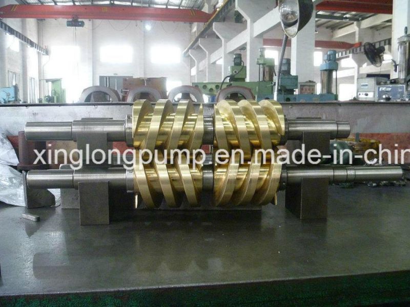 Rotor / Screw Set / Spindles of Twin Screw Pump
