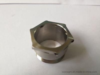 CNC Machinery Stainless Steel Nut Screw Hardware