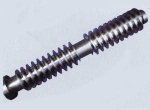 Auto Parts Transmission Gear of Worm