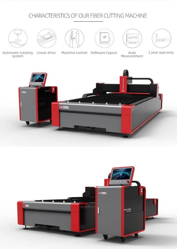 Fiber Laser Cutting Machine for Plates with Separate Electric Cabinet