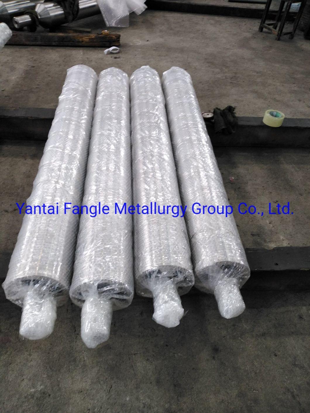 Stabilizing Roll Used for Continuous Hot DIP Galvanizing Line to Get High Qualified Galvanized Products