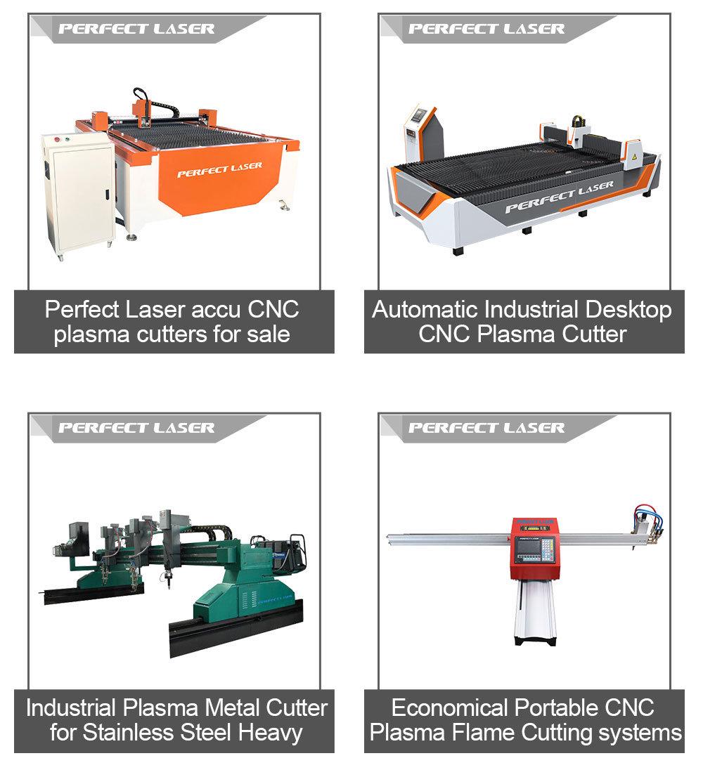 CNC Plasma Cutting Equipment for Iron Steel Aluminum Sheets