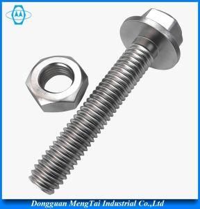 Hex Head Flange Bolt and Nut