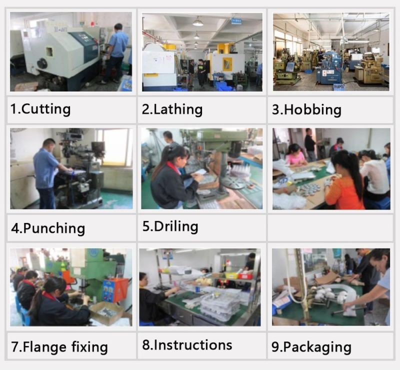 Ihf Free Design Complicated Designed Gear Customized Helical Spur Gears for Laser Equipment
