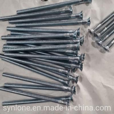 OEM Customized Galvanized Stainless Steel Screw for Machinery