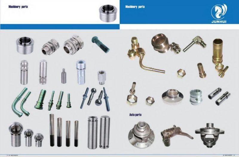 OEM Steel or Stainless Steel of Customized High Quality Stainless Steel Nut