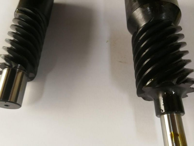 Customized Aluminium Worm for Auto Parts