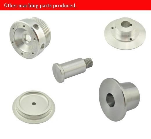 CNC Precision Turned Auto Part of Supplier by China Ace